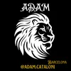 adam.cataloni