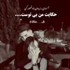 zabed675