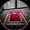 mahmud16740