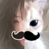tylalalty