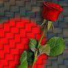 cabdirisaaq.ahmed4