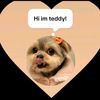 jamesallday200