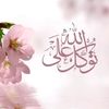 user3924162114799