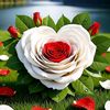 rooz383