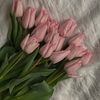 nora11027