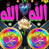 user1200135886629