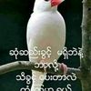 ko.khaing104