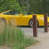 dawsonbassement6