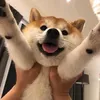 beiuuuu..4