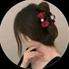 zz_cc313
