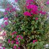 subash.xettree7