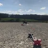 melhorses12