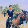 cv___313