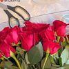 esraa.fathi79