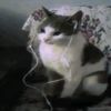 asmaa________2
