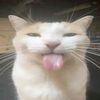 anna_cube