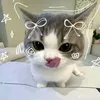 gia_han1453