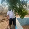 titocastillo967