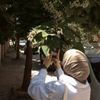 manarmahsoub1