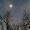 slifersky24