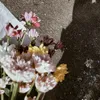 nnrhmwt_