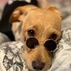 ruben.cachorrito