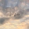 amr.ali13520