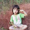 li.hng.li.hin