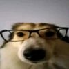 mateo_gamer127