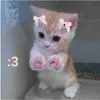 crystal_love_j