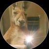 derik0779
