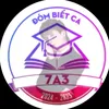 7a334consbidi