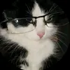 tranthaituudday