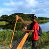 harpbywilber