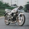 .alwin208