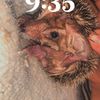 .ax378