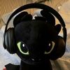 your_brandnew_cat