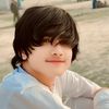 navees.gulli6