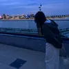 syper__star