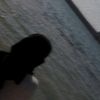 _gha._.zal
