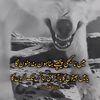 abdulwahid_550