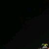 _nza4