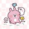 cony._.520