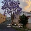 mihaf_4