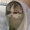 utom_sig