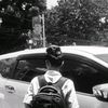 kystts2011_