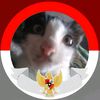 bad_v_cat_bad