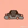 xuan.hieu.thai