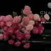 hienguyen_11