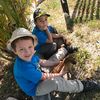 the_boys8265